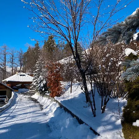 شاليه Petit Individuel *